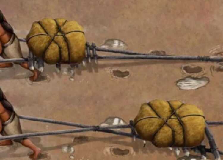 Hallan pruebas de vehículos de hace decenas de miles de años