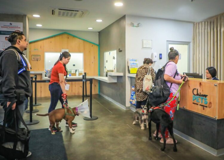 Reactivan atenciones en «Chivo Pets», hospital veterinario público en El Salvador