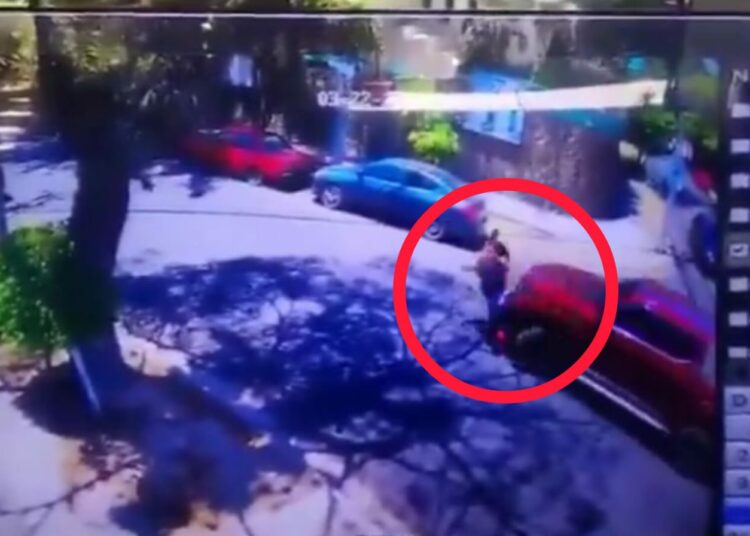 Conductor atropella a peatón y sus perros en San Salvador