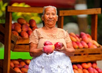 Expo Mango 2025 en parque recreativo Ichanmichen