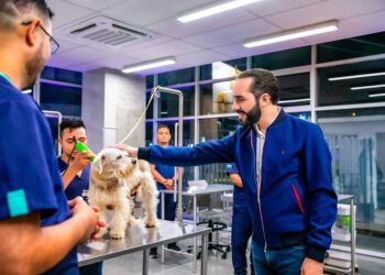 «Gracias, por todo»: Presidente Nayib Bukele a Chivo Pets
