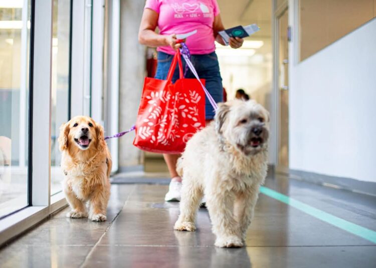 Chivo Pets: Ampliación de servicios especializados y compromiso con la calidad