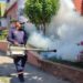 Municipalidad intensifica esfuerzos para proteger la salud de los capitalinos