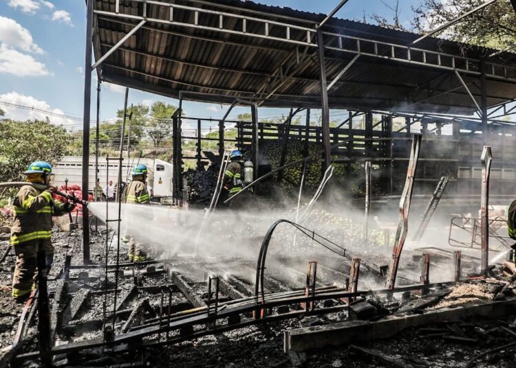 Incendio de maleza consume camión en predio cerca de “La Tiendona”
