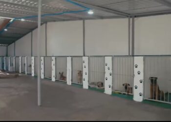 Alcaldía de San Salvador Este desmiente acusaciones sobre refugio de mascotas en Ilopango