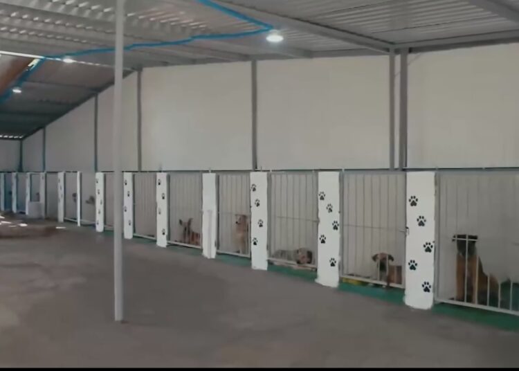 Alcaldía de San Salvador Este desmiente acusaciones sobre refugio de mascotas en Ilopango