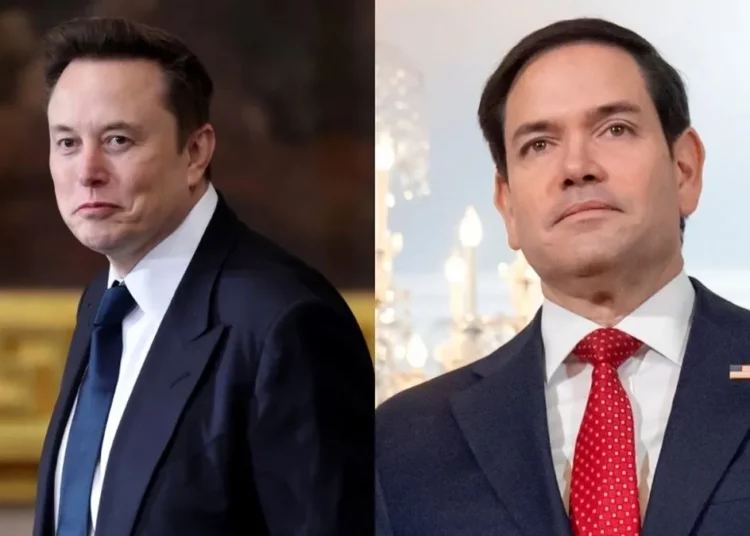 Niega Trump supuesto enfrentamiento entre Elon Musk y Marco Rubio