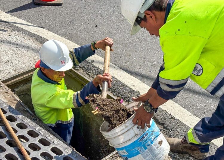 Trabajos preventivos buscan mejorar la calidad de vida en San Salvador Centro