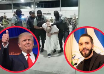 Trump agradece al Presidente Bukele por su papel clave en la lucha contra las pandillas internacionales en EEUU