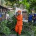 Bomberos y gestores territoriales trabajan en limpieza y poda de árboles en San Salvador