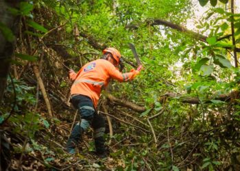 Continúan jornadas de mitigación y limpieza en el país