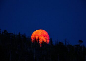 Todo lo que necesita saber sobre la luna de sangre de la próxima semana