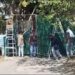 Fiscalía desmiente a alcalde de Ilopango y afirma mantiene una investigación sobre la condición de los animales en el refugio municipal