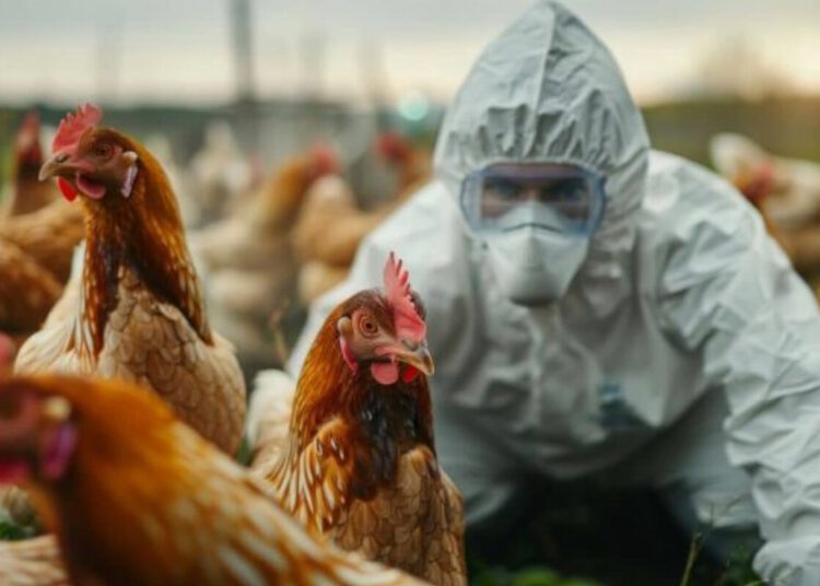 Fallece una niña en Coahuila por gripe aviar, confirmando el primer deceso en México