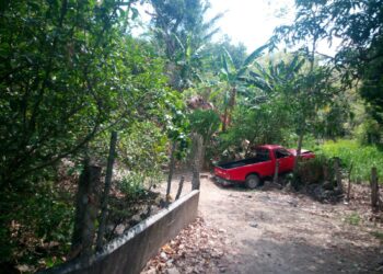 Conductor que arrolló a dos víctimas fue capturado tras huir del lugar