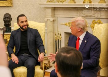 Presidente Bukele ofrece apoyo a EE.UU. en temas de seguridad durante reunión con Trump