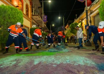 Más de 150 trabajadores municipales garantizan limpieza tras histórica alfombra de 660 metros