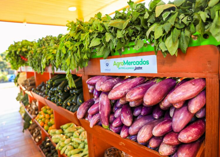 Presidente Bukele resalta reducción de precios en alimentos esenciales y promete más alivios económicos