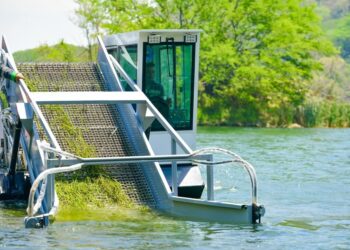 Realizan limpieza al Lago de Coatepeque