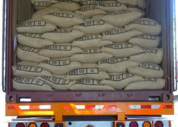 Ministro de Defensa aclara que contenedor con droga fue manipulado fuera de El Salvador