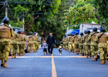 Régimen de Excepción ha permitido obtener cifras récord en materia de seguridad pública