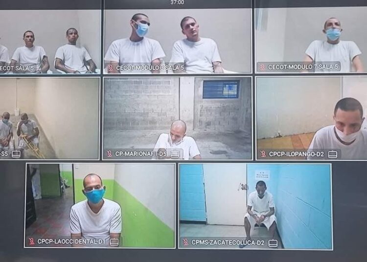 247 pandilleros de la MS enfrentan la justicia por diversos delitos