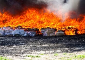 Autoridades destruyen droga decomisada a 9 extranjeros en altamar