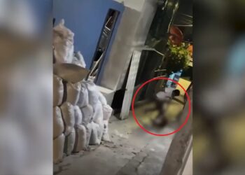 Ciudadano es multado por al menos $2,500 por maltrato animal en San Salvador Centro