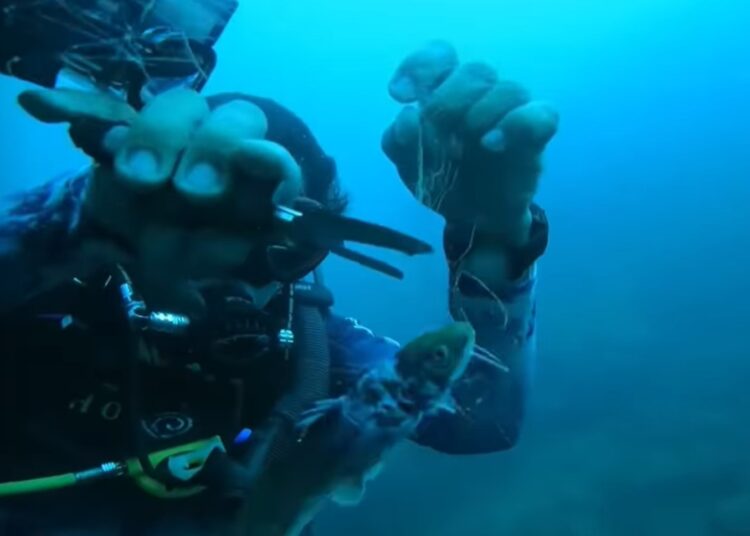 Ilopango Divers lidera iniciativa ecológica para conservar ecosistemas acuáticos