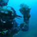 Ilopango Divers lidera iniciativa ecológica para conservar ecosistemas acuáticos