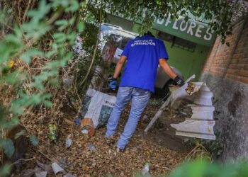 Continúan jornadas de limpieza y poda para reducir riesgos en Soyapango