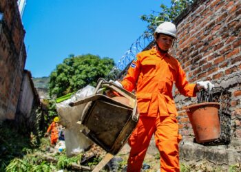 Realizan acciones de limpieza y poda de árboles para evitar emergencias en temporada invernal