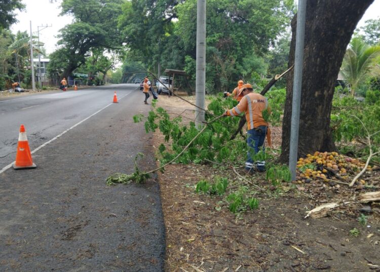 MOP realiza limpieza vial en varias rutas del país