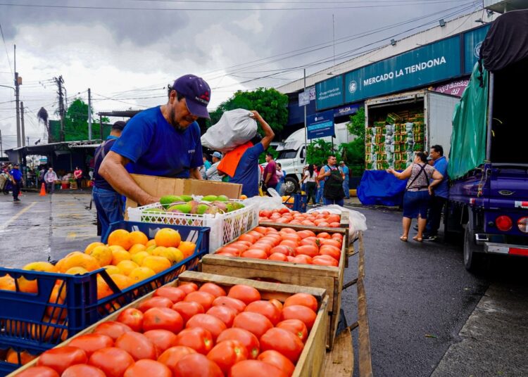 Gobierno propone crear Dirección de Mercados Nacionales para la administración regular de mercados y locales comerciales