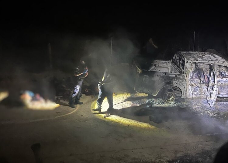 Investigan hallazgo de 11 cuerpos tras enfrentamiento armado en Tecoanapa, Guerrero