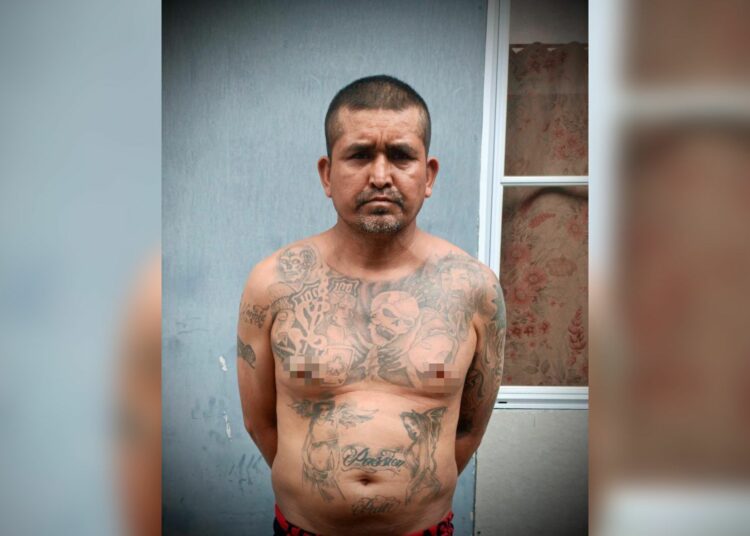 Cae “El Chino” peligroso pandillero de la MS