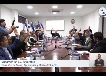 Dictamen favorable para reformar la «Ley de trasplante de células, tejidos y órganos humanos»