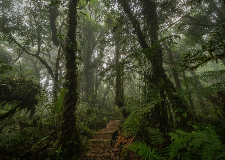 Parque Nacional Montecristo con cierre temporal en zona específica