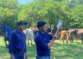 Agricultura y MINSAL intensifican campaña contra el gusano barrenador con brigadas en todo el país