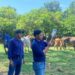 Agricultura y MINSAL intensifican campaña contra el gusano barrenador con brigadas en todo el país