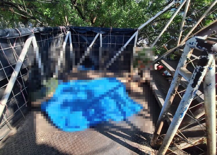 Mujer fallece sobre pasarela de Lourdes