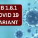 Variante de Covid-19 NB.1.8.1 es la cepa dominante en Asia y ya ha sido detectada en EEUU