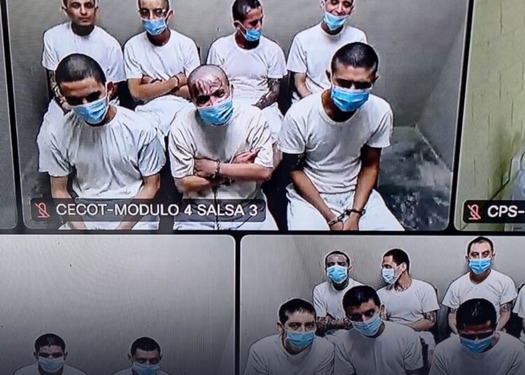 Pandilleros de la MS permanecerán detenidos mientras avanzan las investigaciones