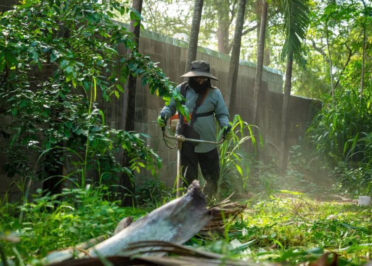 Alcaldía de San Salvador Centro prioriza vías de alto tránsito para mejorar la movilidad urbana