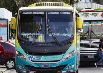 Presidente Bukele anuncia transporte gratis para toda la semana