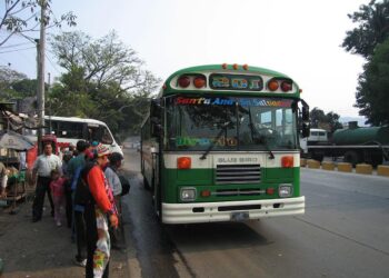 Buses y microbuses en todas las especialidades serán gratis toda la semana