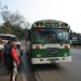 Buses y microbuses en todas las especialidades serán gratis toda la semana
