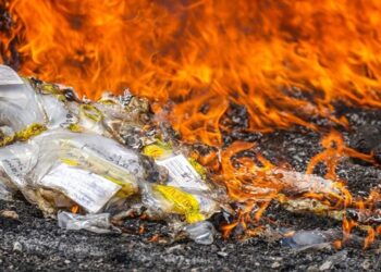 Destruyen droga incautada al narcotráfico valorada en más de $48.5 millones