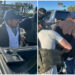 Salvadoreño detenido por estar ilegalmente en EE. UU. y tener antecedentes por narcotráfico