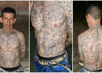 Ministro de Defensa advierte que en El Salvador ser pandillero es un delito